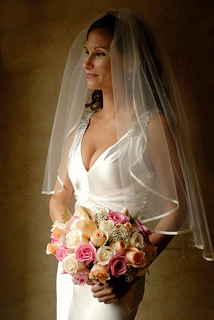 Natural Light Bridal Portrait, Hershey Pennsylvania, Stylistic Beautiful, Christine Foster photo